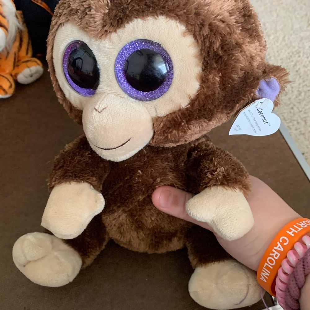 Coconut the Beanie Baby